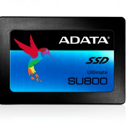 SSD ADATA SU800 1024 GB